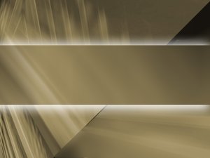 分销网络的安全注意事项